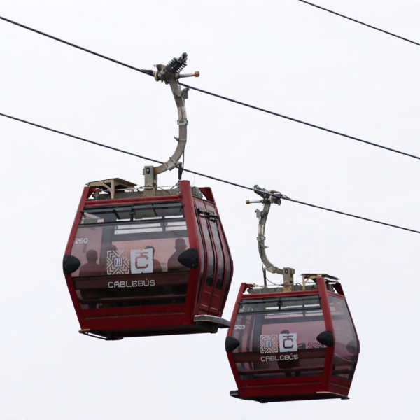 El Gobierno de Puebla confirmó la intervención de 97 árboles para el desarrollo de obras del cablebús.