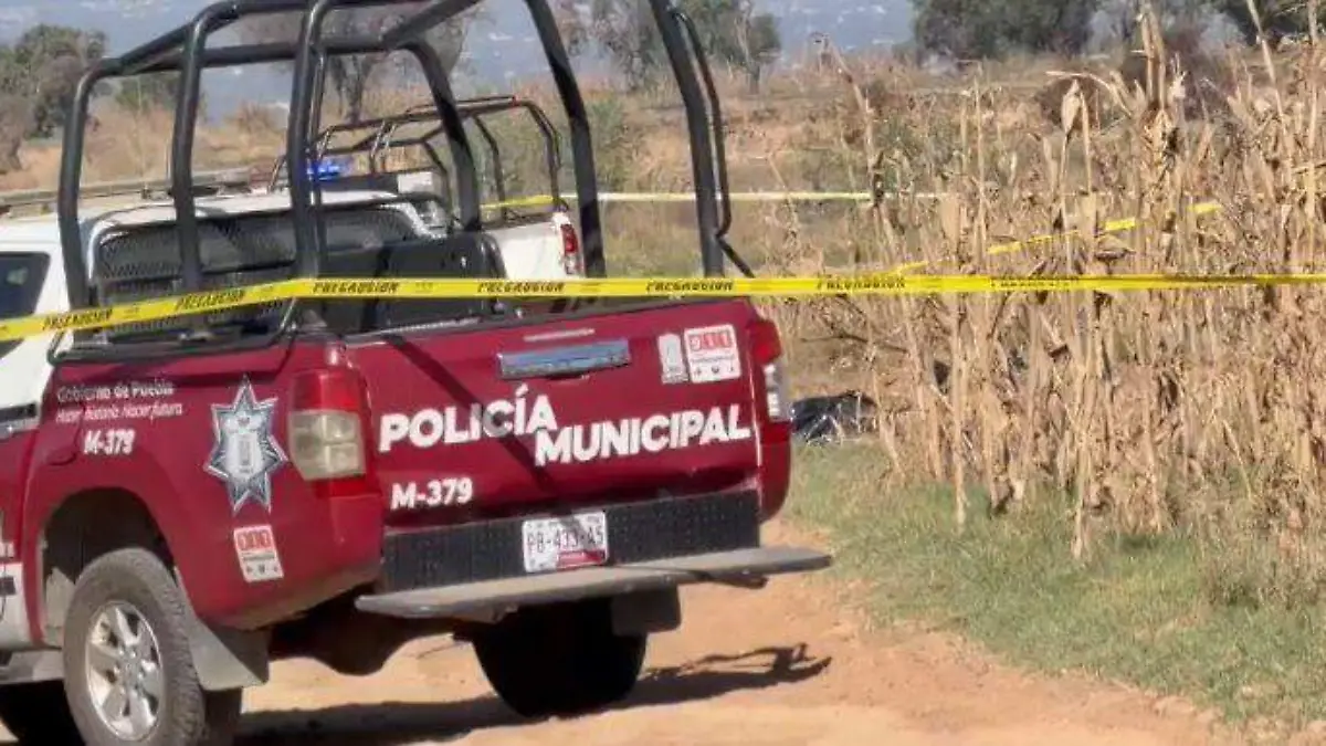 Localizan restos humanos en Coronango; suman cinco hallazgos violentos en tres días en la zona metropolitana