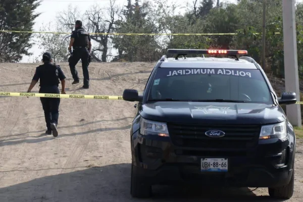 Foto: Sol de México