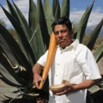 Foto: Sol de México