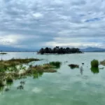SCJN avala decreto que declara Área Natural Protegida el Lago de Texcoco.
