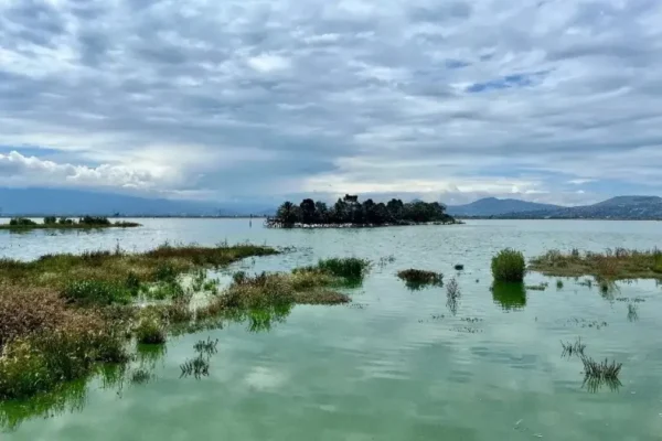 SCJN avala decreto que declara Área Natural Protegida el Lago de Texcoco.
