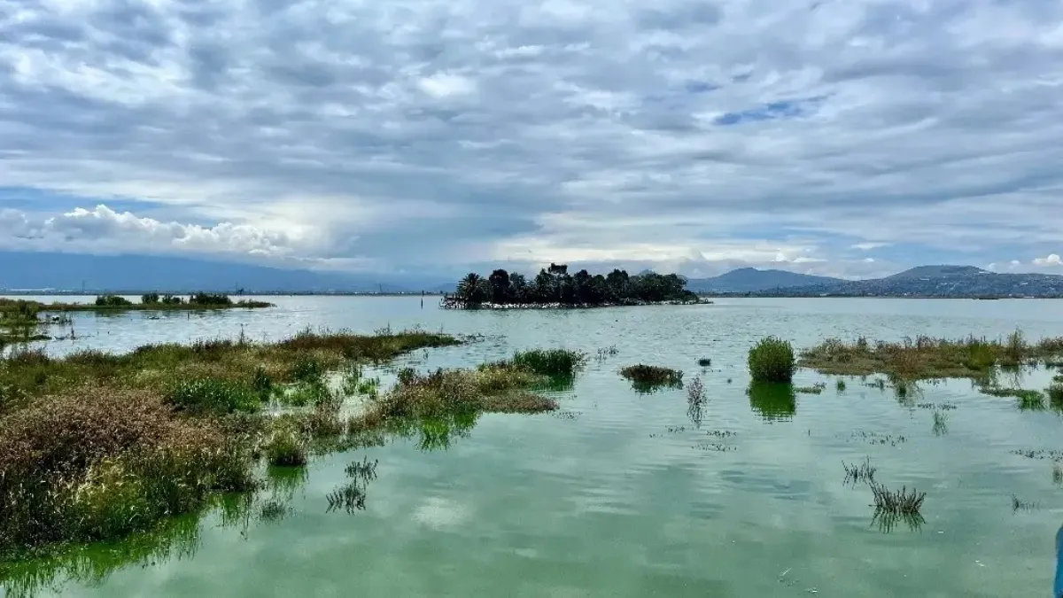 SCJN avala decreto de AMLO y mantiene como Área Natural Protegida el Lago de Texcoco