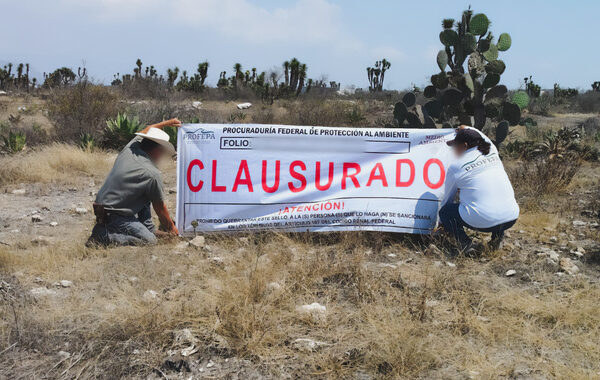 La Profepa clausuró 45 hectáreas de lotificación ilegal en la Reserva de la Biosfera Tehuacán-Cuicatlán. FOTO: Gobierno de México.