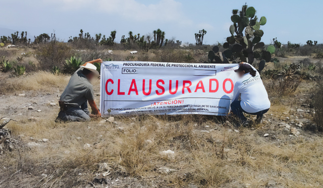 La Profepa clausuró 45 hectáreas de lotificación ilegal en la Reserva de la Biosfera Tehuacán-Cuicatlán. FOTO: Gobierno de México.