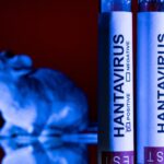Sin casos de hantavirus en México, pero Salud activa protocolos preventivos en hospitales.