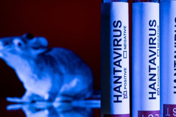 Sin casos de hantavirus en México, pero Salud activa protocolos preventivos en hospitales.