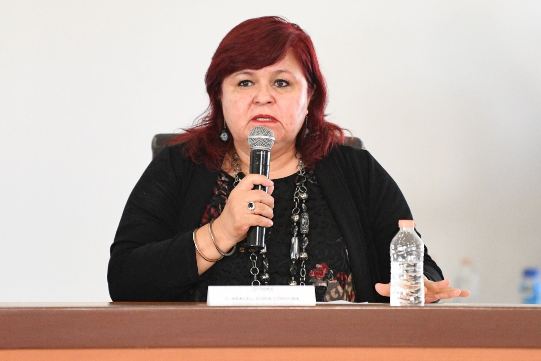 ASE encontró un posible daño patrimonial en la Cuenta Pública 2024 en Salud bajo la dirección de Araceli Soria. FOTO: Síntesis Nacional.