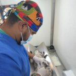 Gobierno de Puebla realiza jornadas gratuitas de bienestar animal en cinco colonias de la capital El Gobierno de la Ciudad de Puebla realizó jornadas gratuitas de bienestar animal en distintas colonias como San Esteban, Loma Linda y Los Ángeles Mayorazgo.