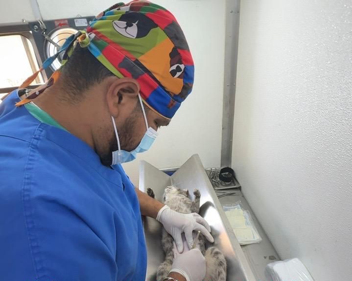 Gobierno de Puebla realiza jornadas gratuitas de bienestar animal en cinco colonias de la capital