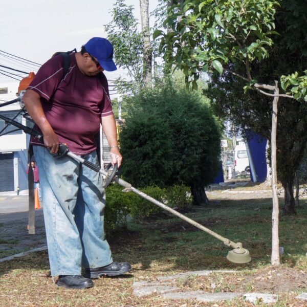 El Gobierno de la Ciudad mantiene acciones permanentes de mantenimiento en parques y áreas verdes para conservar espacios públicos en mejores condiciones.