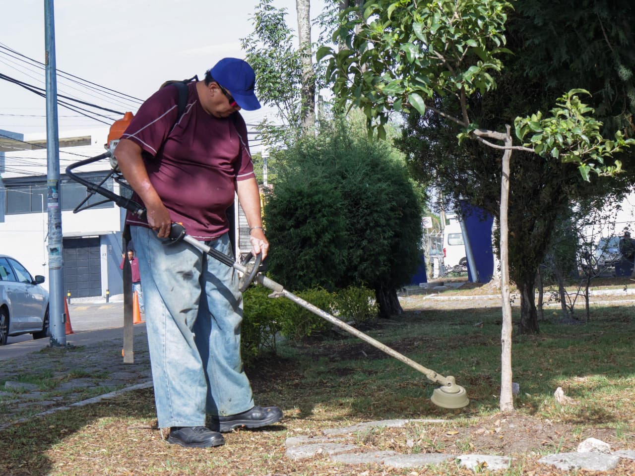 El Gobierno de la Ciudad mantiene acciones permanentes de mantenimiento en parques y áreas verdes para conservar espacios públicos en mejores condiciones.