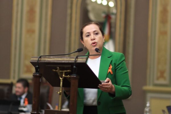 La expríista Norma Sirley Reyes asumirá la diputación federal del Distrito 3 de Teziutlán tras la salida de 'Marilyn' Ballesteros al gabinete estatal. FOTO: Congreso de Puebla.