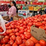 Productores de jitomate advierten que los altos precios continuarán por la baja producción nacional; hasta en 80 pesos por kilo. FOTO: Roberto Amaya,