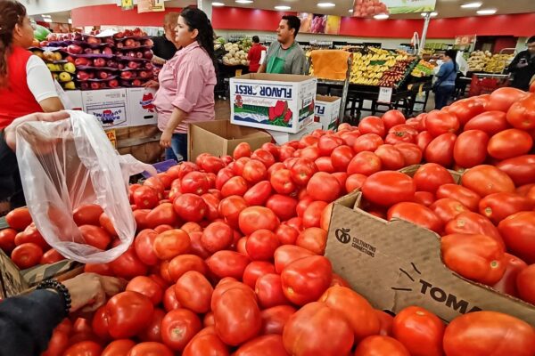 Productores de jitomate advierten que los altos precios continuarán por la baja producción nacional; hasta en 80 pesos por kilo. FOTO: Roberto Amaya,