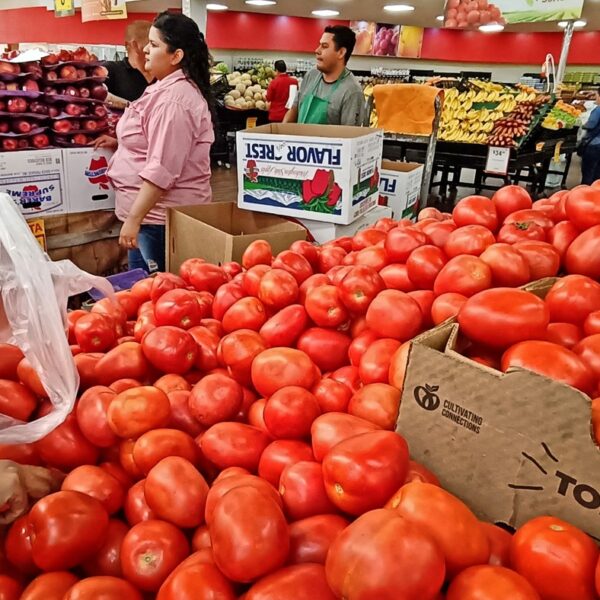 Productores de jitomate advierten que los altos precios continuarán por la baja producción nacional; hasta en 80 pesos por kilo. FOTO: Roberto Amaya,