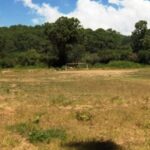 El Indep subastará un terreno en Tapalpa Country Club, Jalisco, ubicado cerca de la propiedad de 'El Mencho' antes de ser abatido. IMAGEN: INDEP.