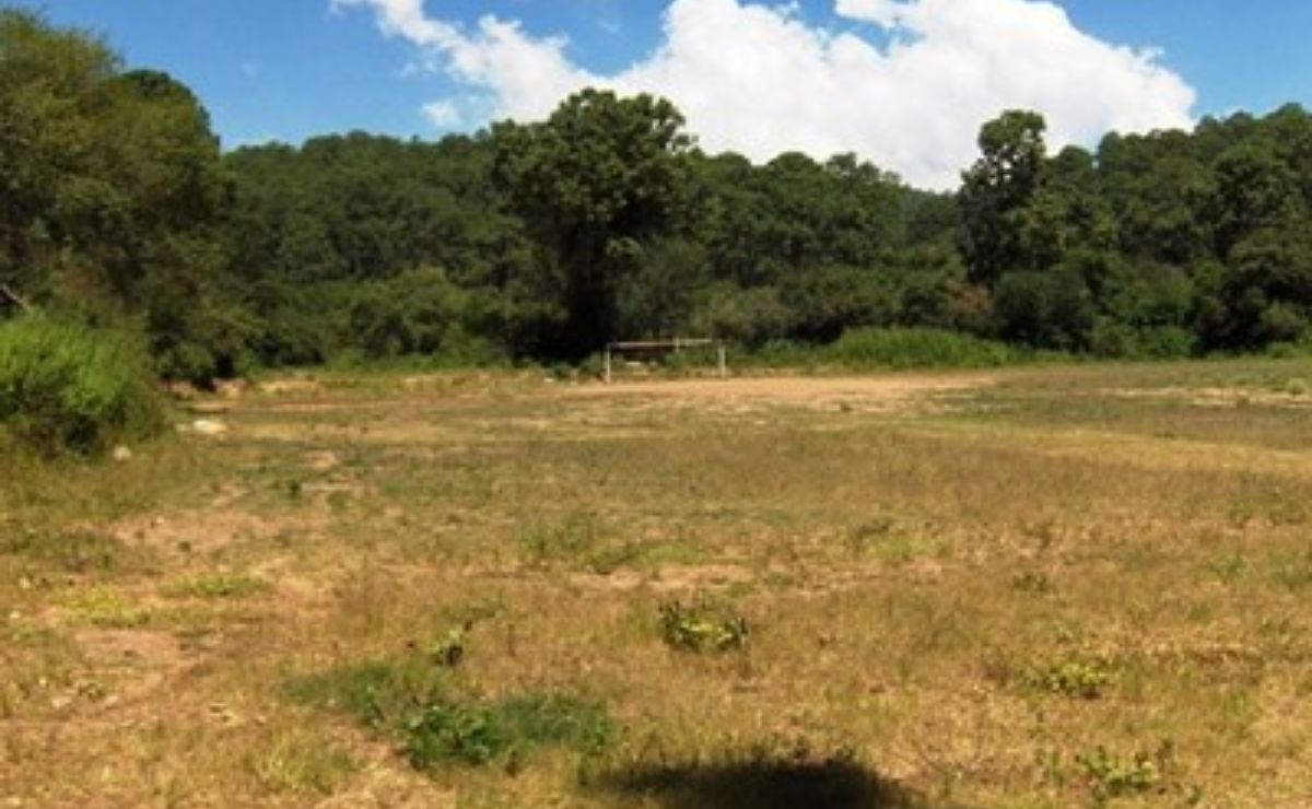 Indep subasta terreno en Tapalpa ligado a El Mencho; vale casi 13 millones de pesos