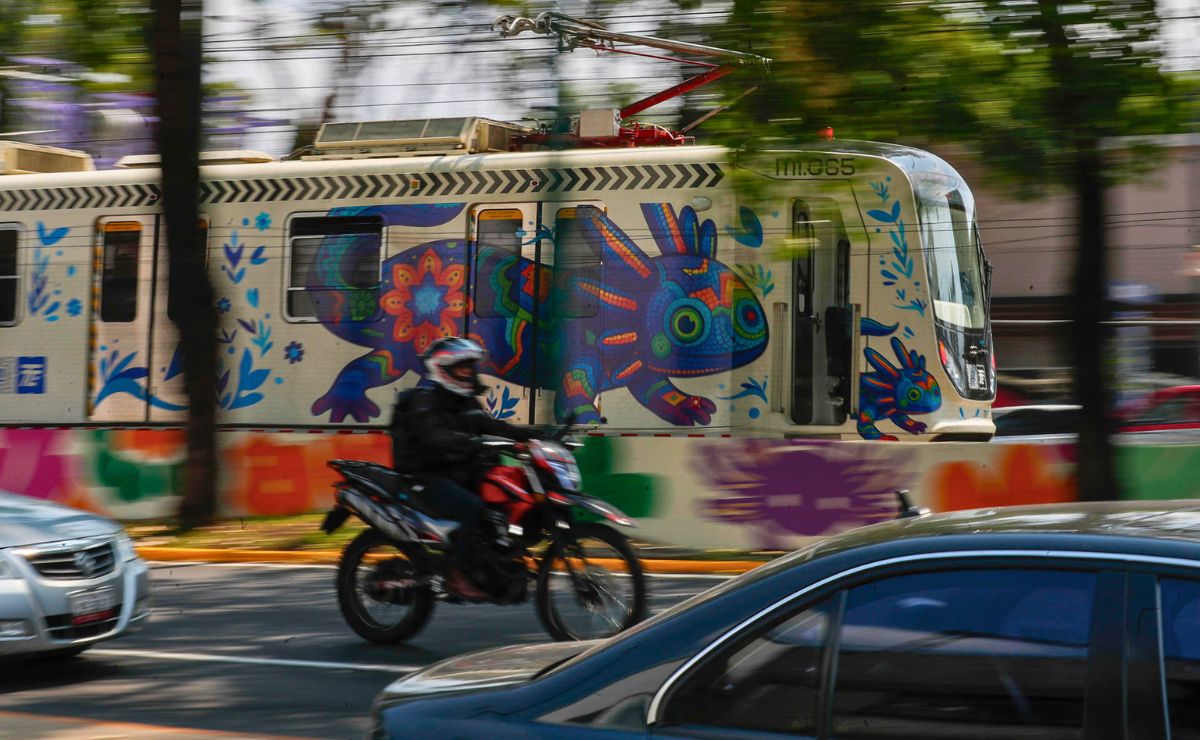 CDMX se “ajolotiza” por el Mundial 2026, especialistas alertan que el ajolote podría extinguirse en Xochimilco