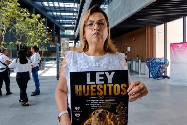 Asociación TAC lleva al Congreso la propuesta de "Ley Huesitos" para combatir el maltrato animal y sancionar la omisión de gobiernos municipales. FOTO: vía El Referente.