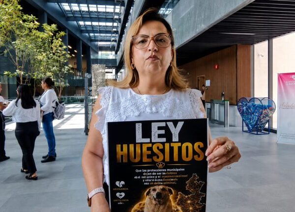 Asociación TAC lleva al Congreso la propuesta de "Ley Huesitos" para combatir el maltrato animal y sancionar la omisión de gobiernos municipales. FOTO: vía El Referente.