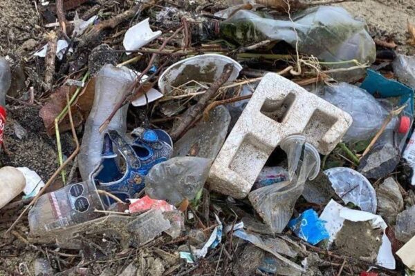 Protección Civil de la CDMX reveló que la basura en calles es uno de los principales factores de las inundaciones en la capital. FOTO: vía EF.