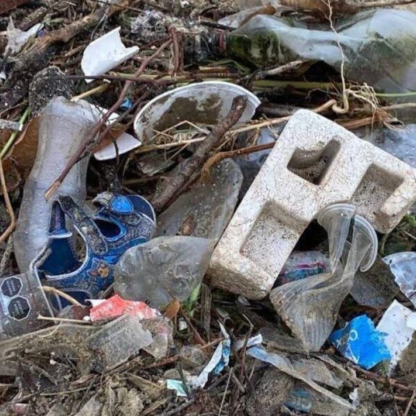 Protección Civil de la CDMX reveló que la basura en calles es uno de los principales factores de las inundaciones en la capital. FOTO: vía EF.