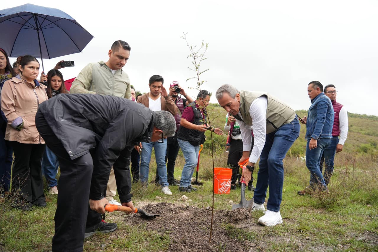 Puebla sumará más de 10 mil árboles en Ecocampus BUAP con jornada masiva de reforestación