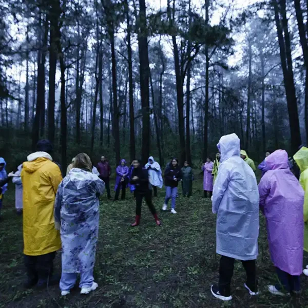 Arranca la temporada de luciérnagas en Santa Rita Tlahuapan este sábado 20 de junio. FOTO: vía Puebla Online.