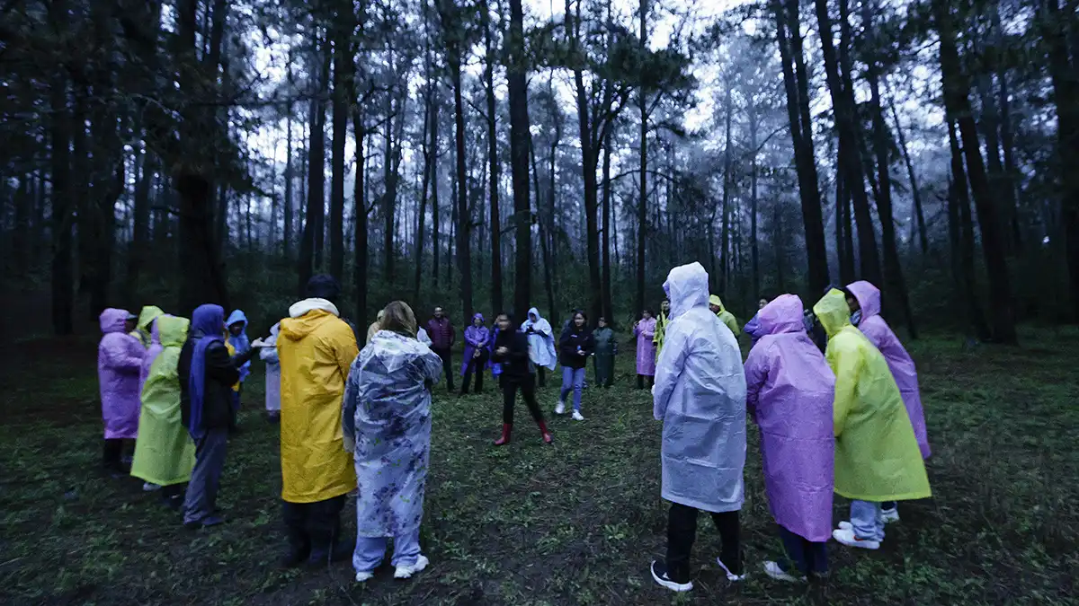 Arranca la temporada de luciérnagas en Santa Rita Tlahuapan este sábado 20 de junio. FOTO: vía Puebla Online.
