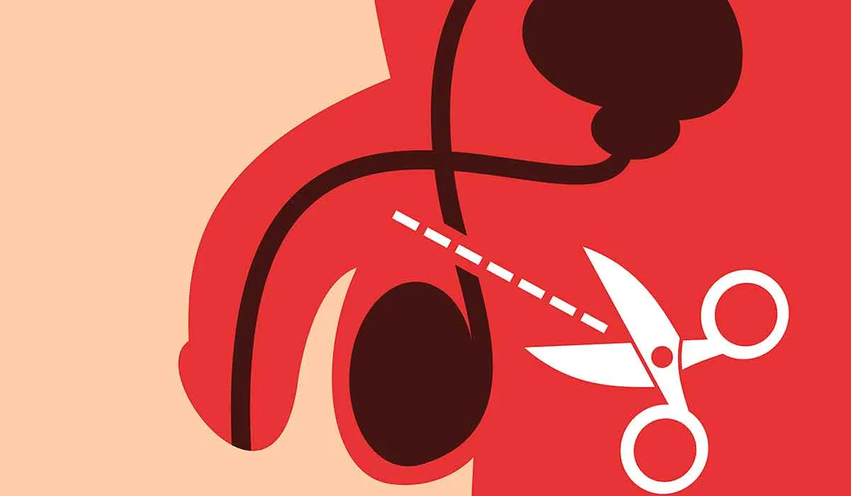Por el Día del Padre, habrá cirugías de vasectomía sin bisturí en siete unidades del IMSS Puebla. ILUSTRACIÓN: Selecciones.com